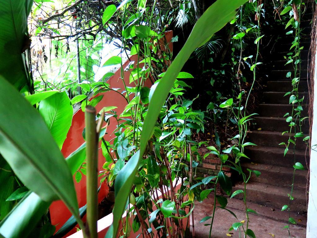 Para Ti Guesthouse Río de Janeiro Exterior foto